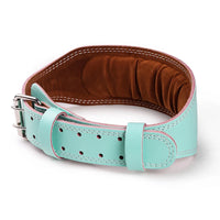 Double-Buckle Weightlifting Belt